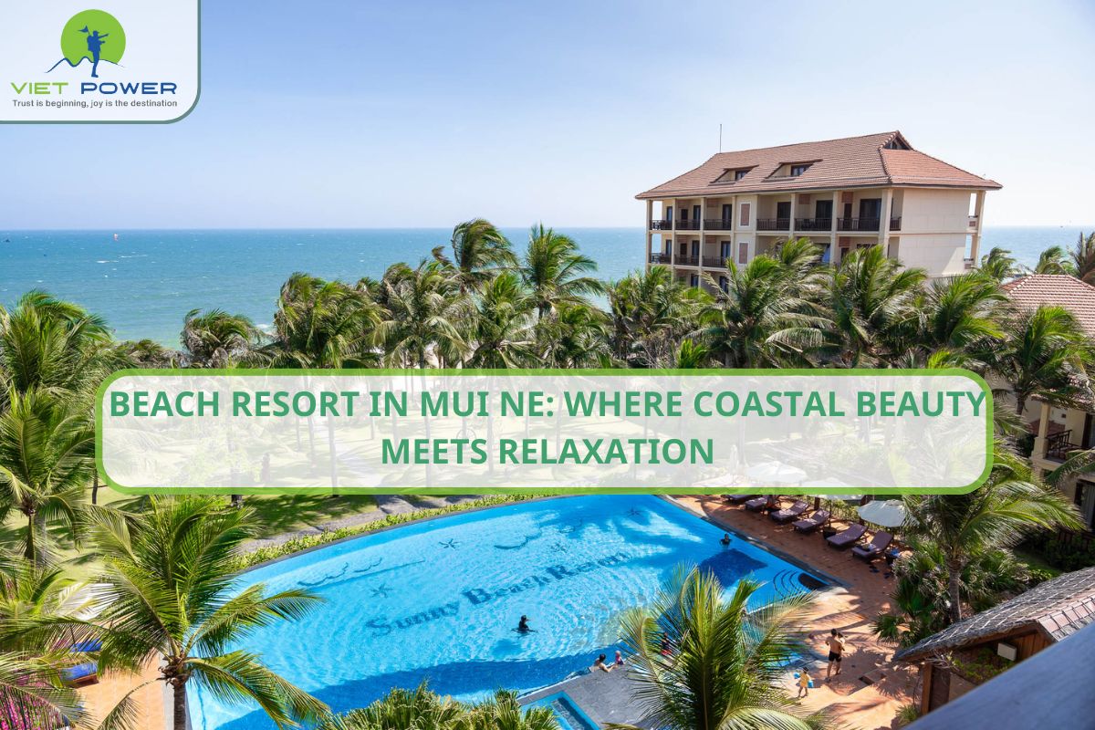 Beach Resort in Mui Ne: Where Coastal Beauty Meets Relaxation
