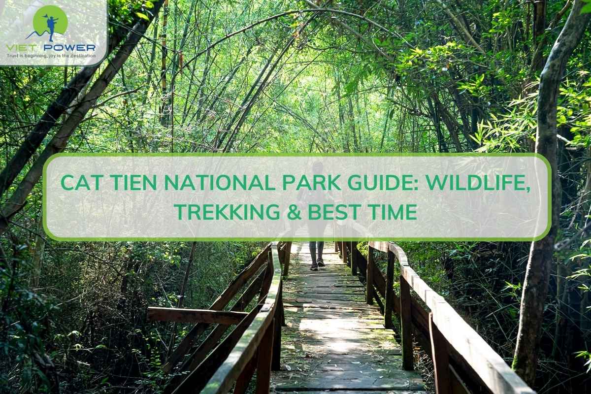 Cat Tien National Park Guide: Wildlife, Trekking & Best Time