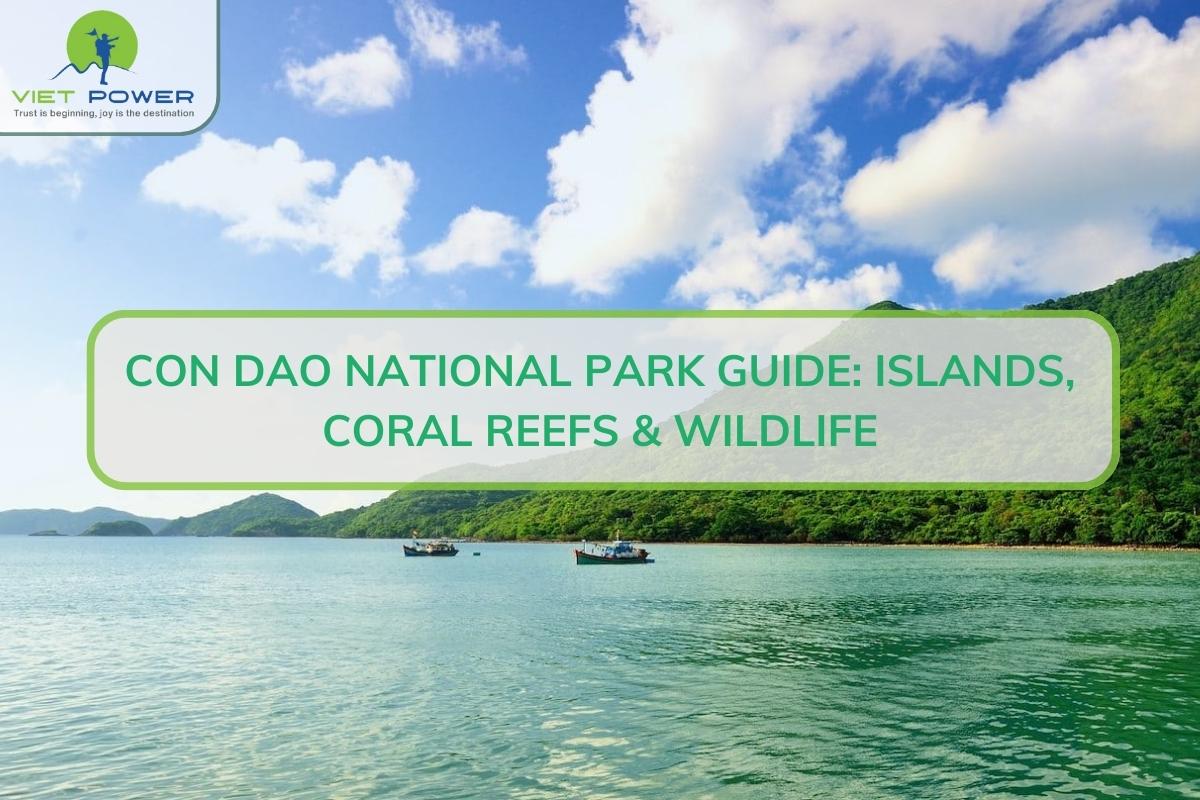 Con Dao National Park: Islands, Coral Reefs & Wildlife