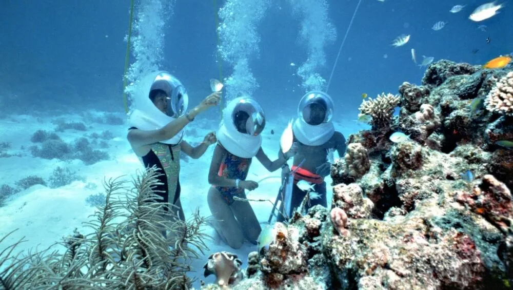 Explore the Underwater World: Sea Walking at Cham Islands - SIC Tour