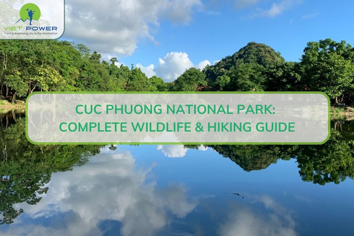 Cuc Phuong National Park: Complete Wildlife & Hiking Guide