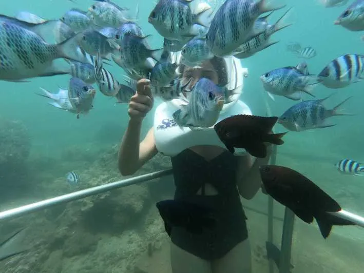 Explore the Underwater World: Sea Walking at Cham Islands - SIC Tour