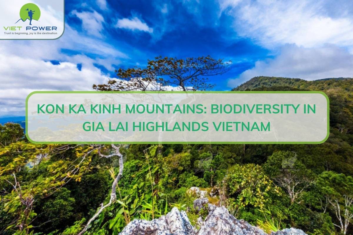 Kon Ka Kinh Mountains: Biodiversity in Gia Lai Highlands Vietnam