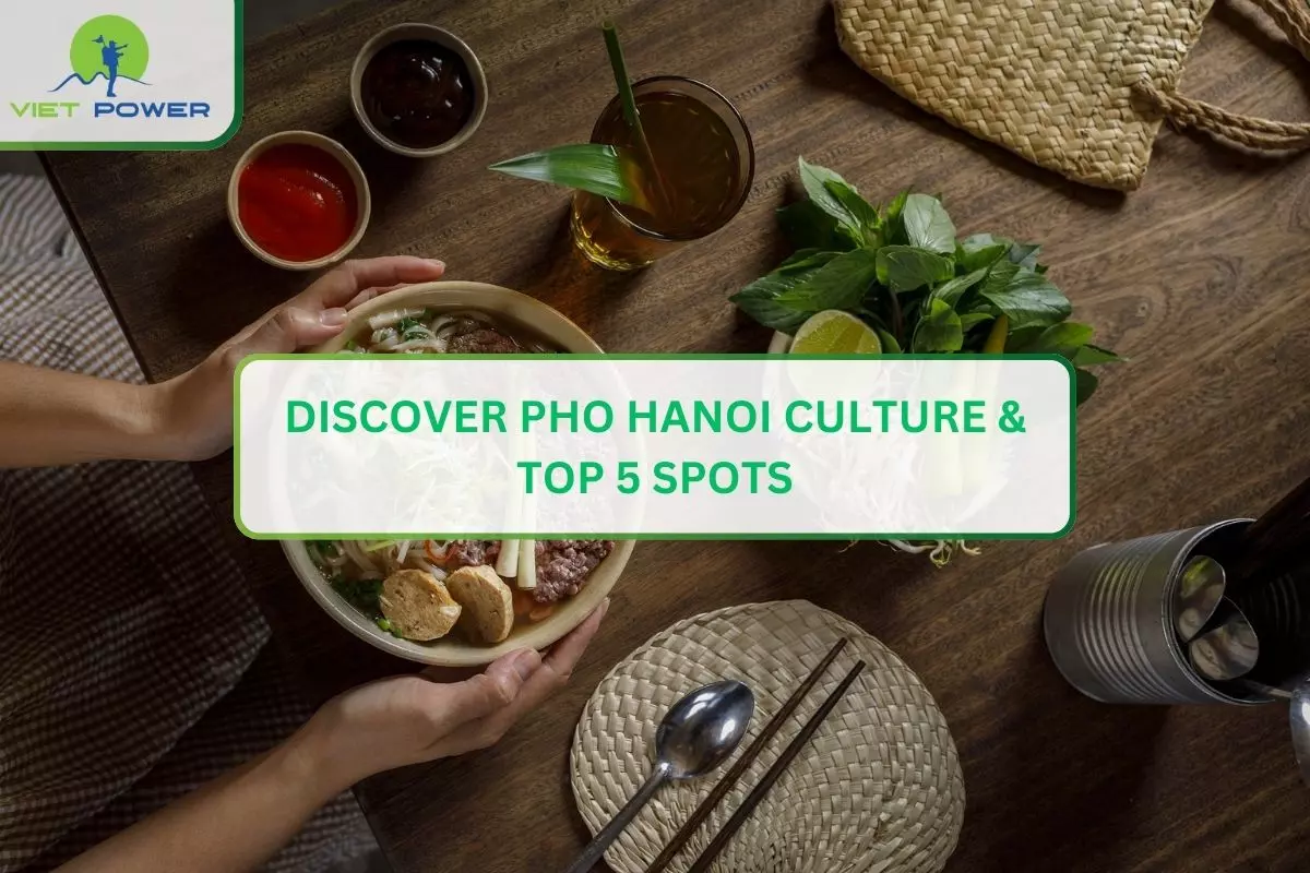 Discover Pho Hanoi Culture & Top 5 Spot
