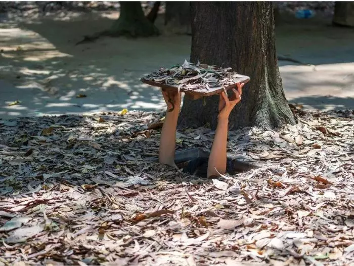 Southern Vietnam Highlights: An Unforgettable Journey in 5 Days