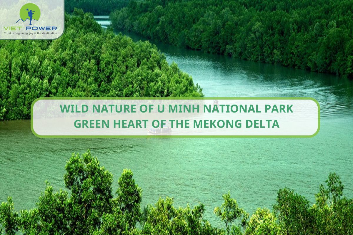 Wild Nature of U Minh National Park: Green Heart of the Mekong Delta