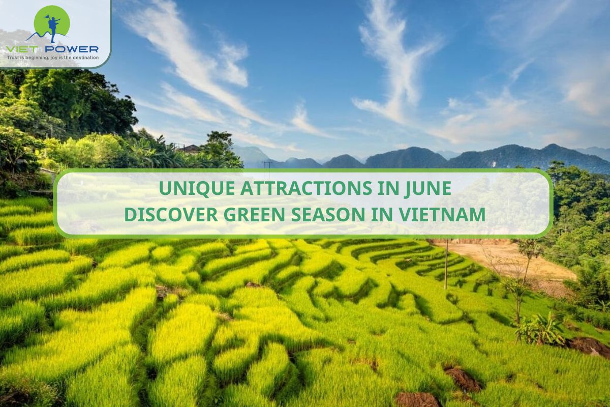 Unique Attractions in June: Discover Green Season in Vietnam