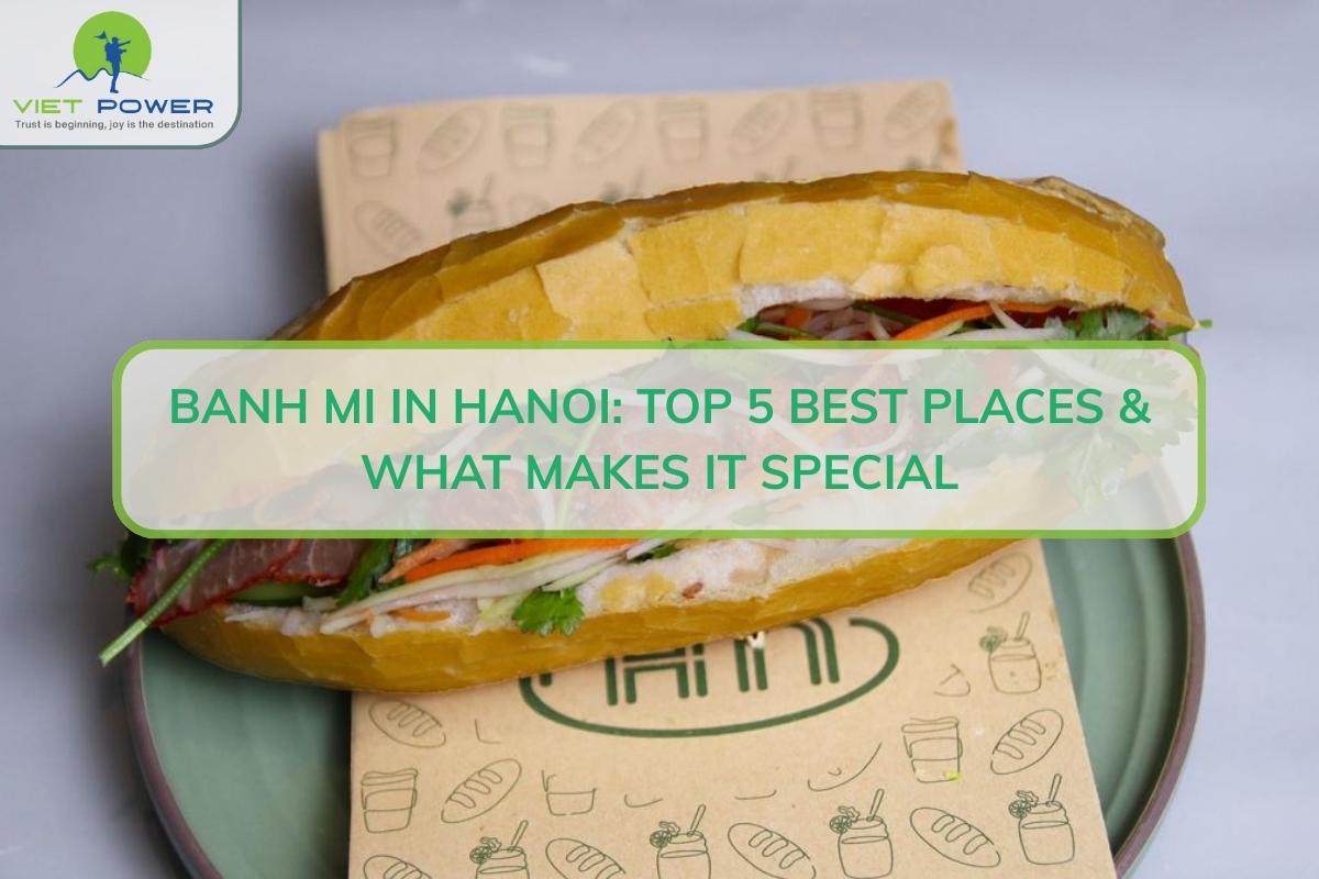 Banh Mi in Hanoi: Top 5 Best Places & What Makes It Special