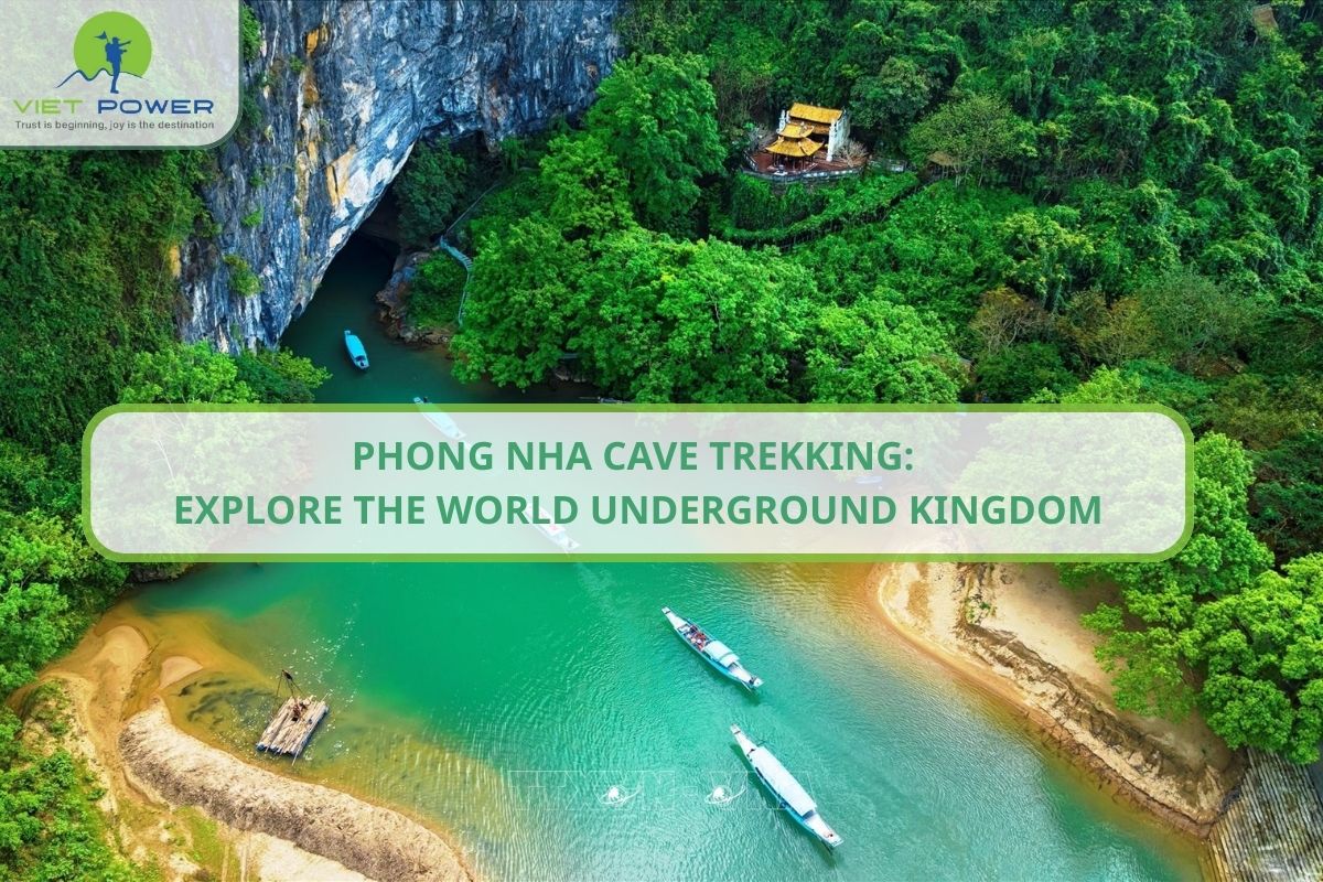 Phong Nha Cave Trekking: Explore the World Underground Kingdom