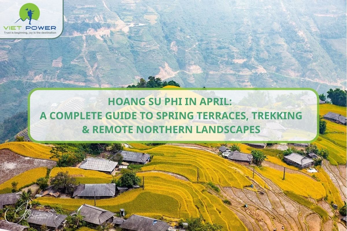 Hoang Su Phi in April: Spring Terraces, Trekking & Northern Landscapes
