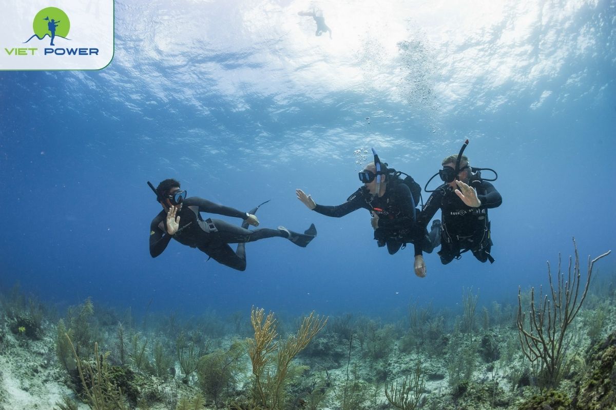 Son Tra Peninsula Snorkeling