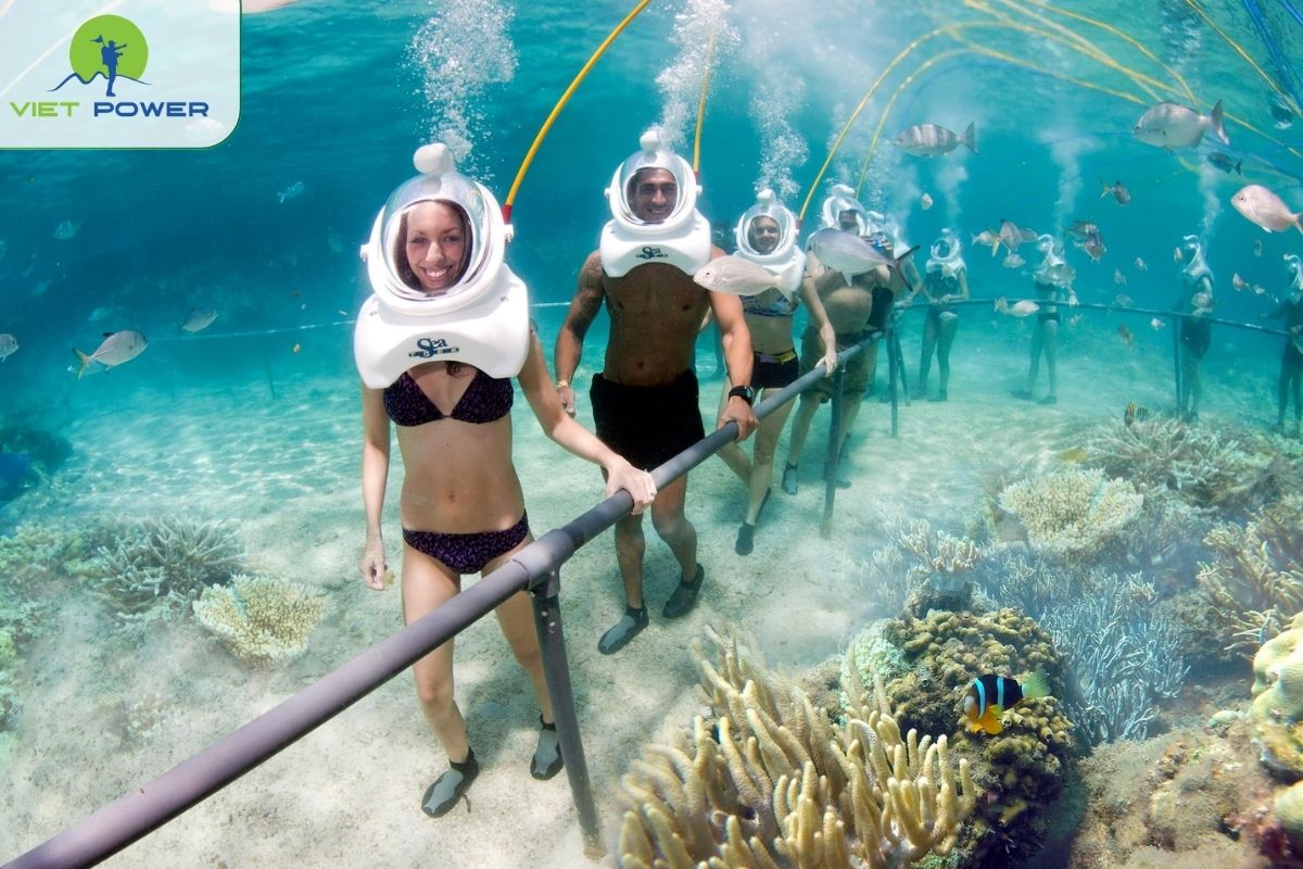 Snorkeling at Cham Island (Cu Lao Cham)
