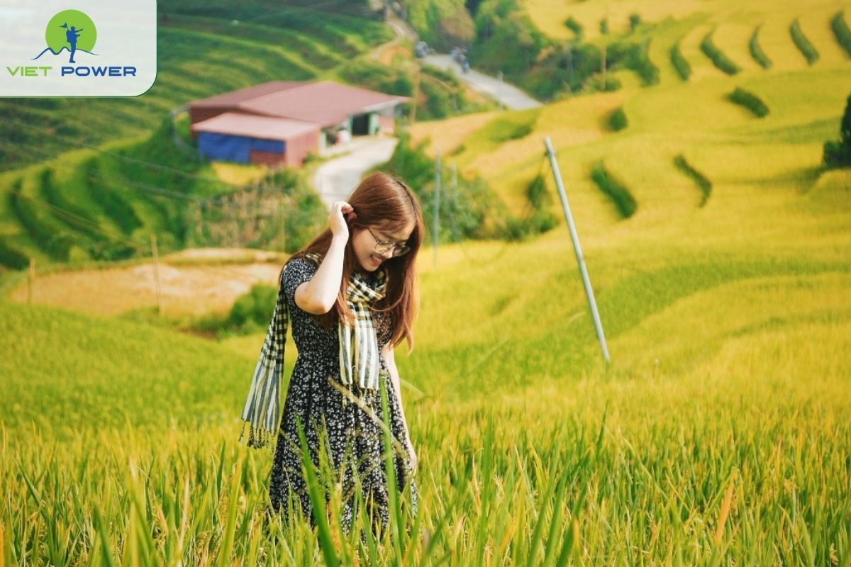 Capture the Golden Terraces