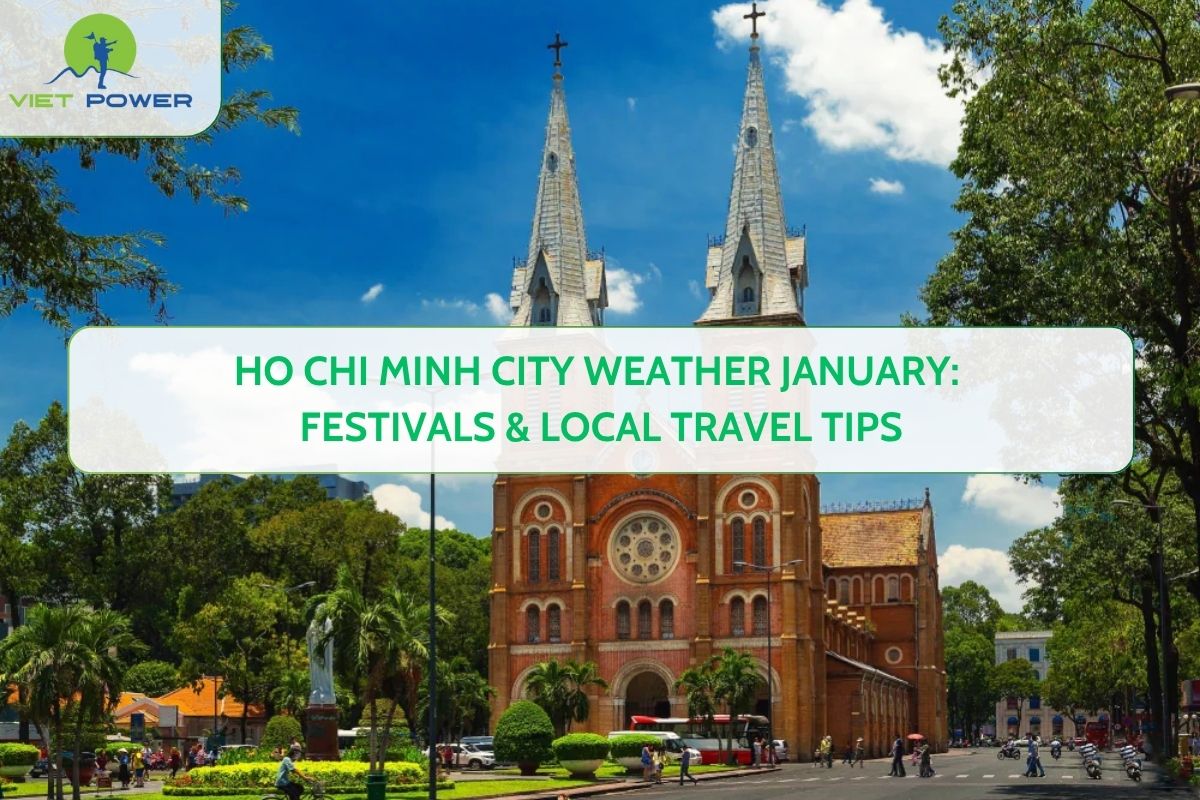Ho Chi Minh City Weather January: Festivals & Local Travel Tips