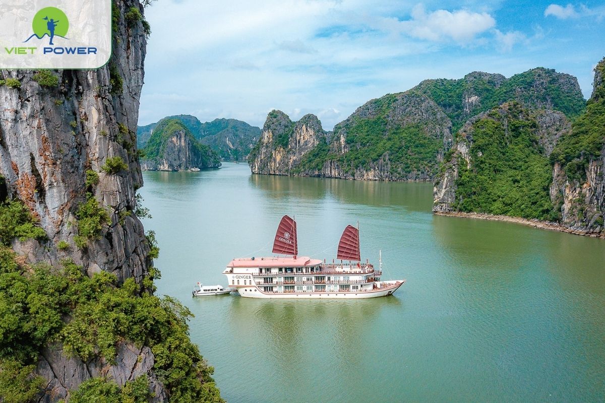 Heritage Line (Ginger)