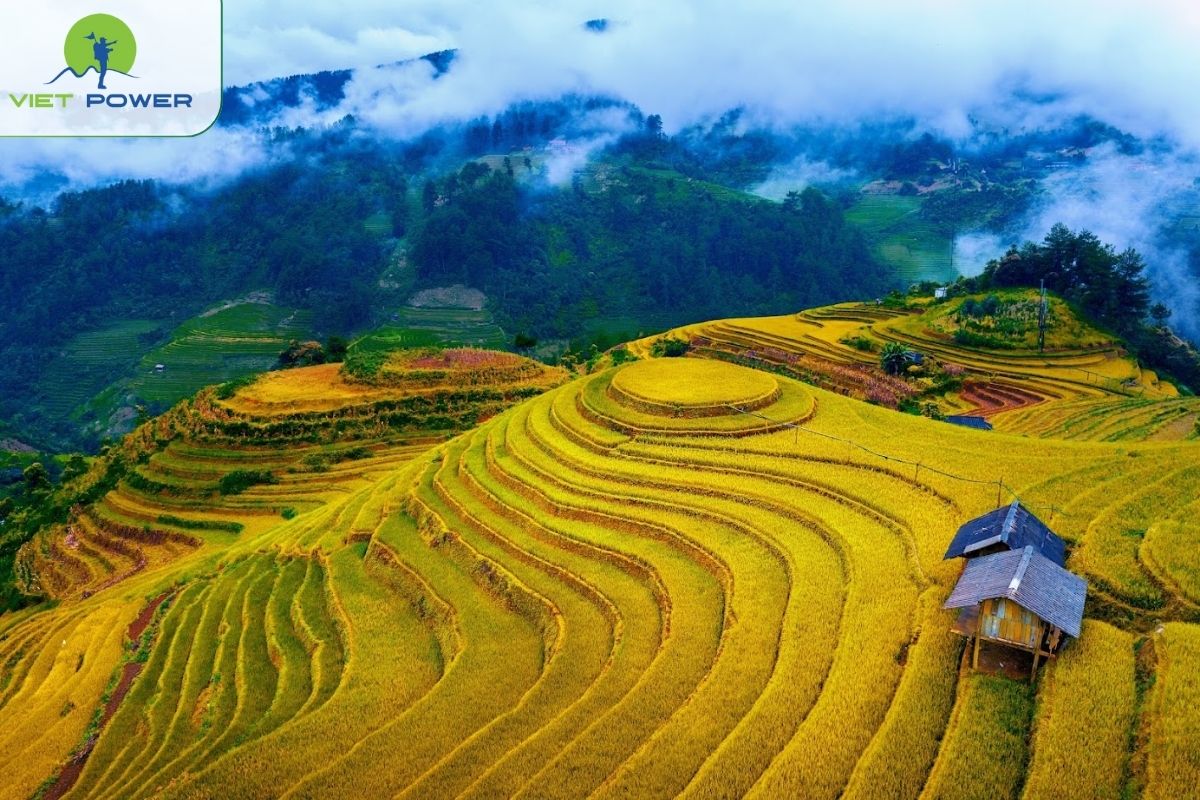 Mu Cang Chai