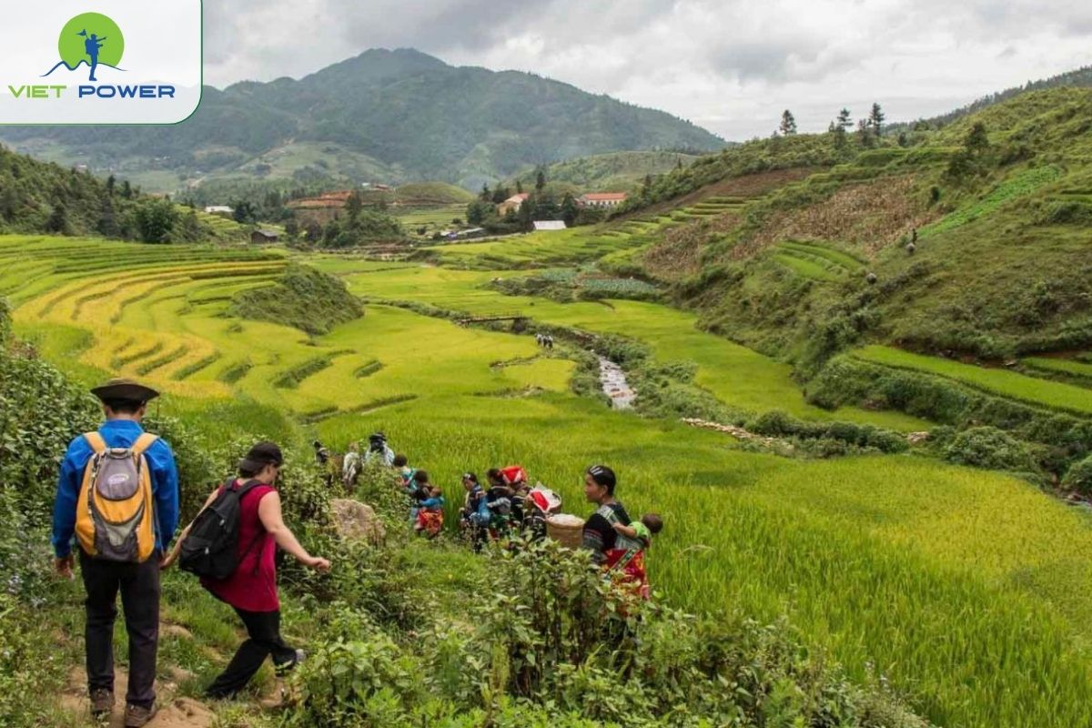 Sapa Trails
