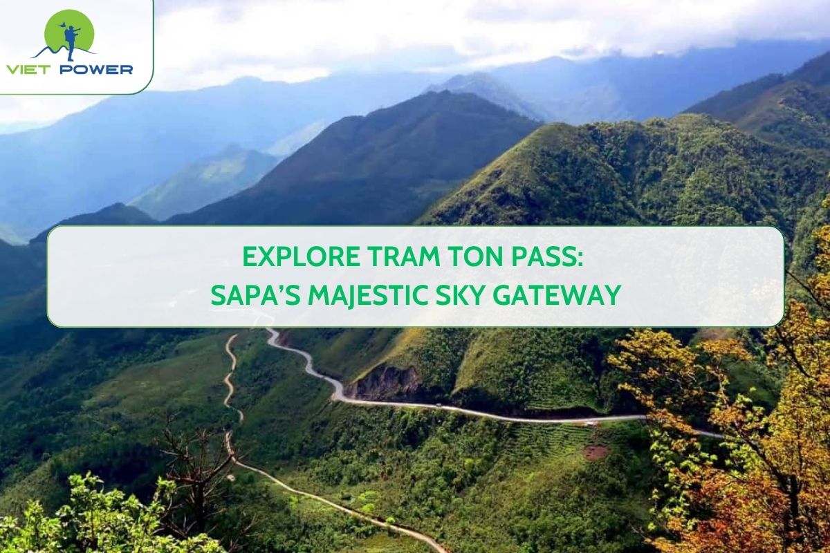 Explore Tram Ton Pass: Sapa’s Majestic Sky Gateway