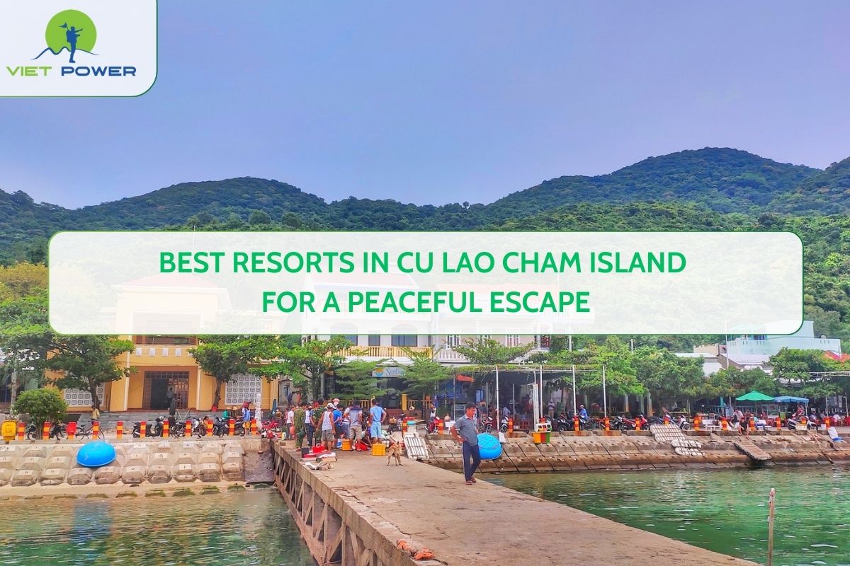 Best Resorts in Cu Lao Cham Island for a Peaceful Escape