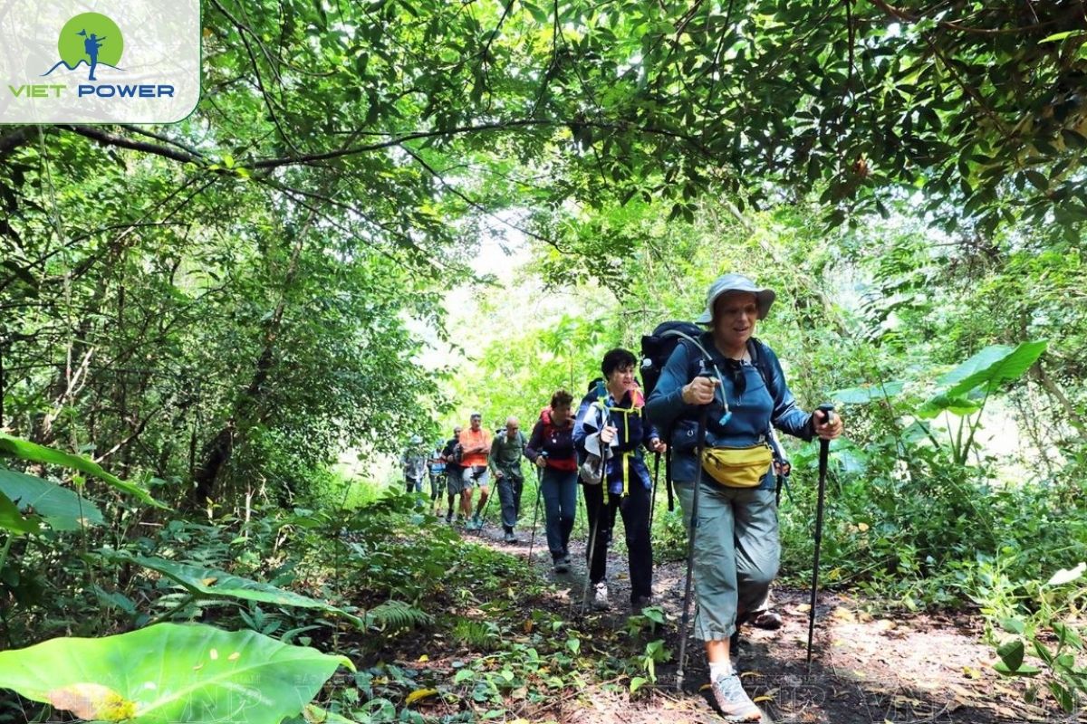 Trekking Cat Ba National Park