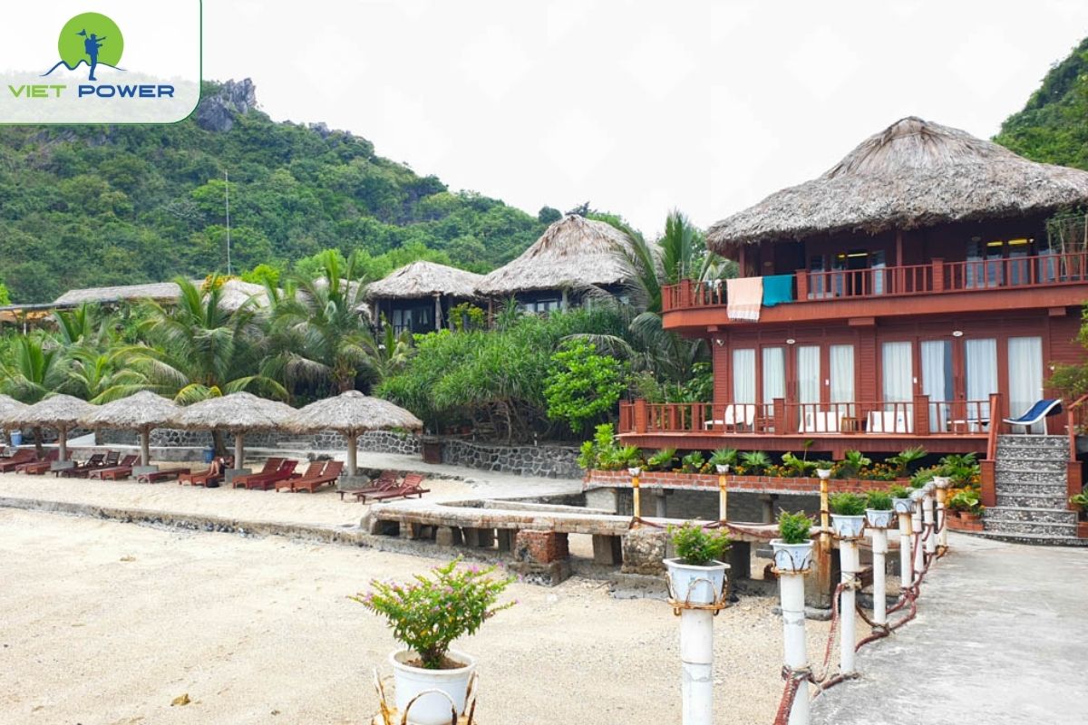 Monkey Island Resort