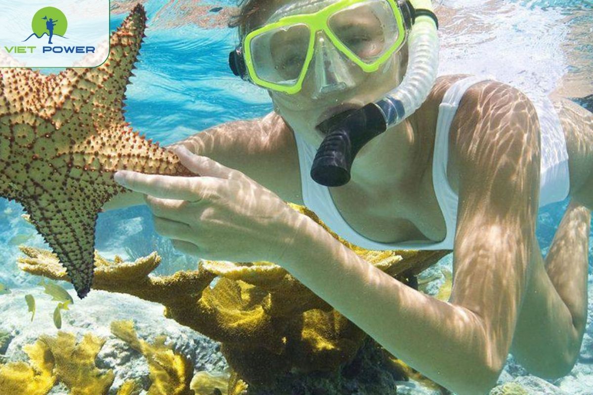 Snorkeling at Nam Du’s