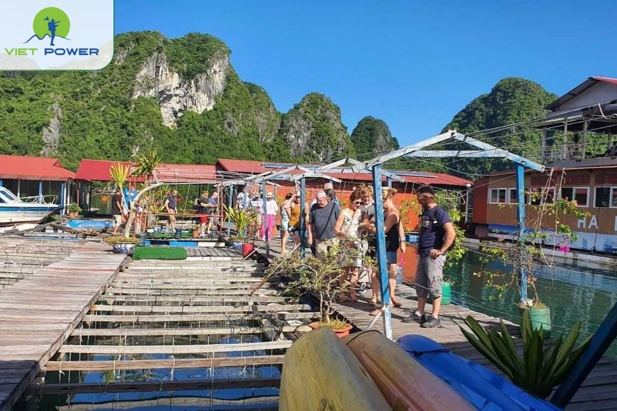 Visit to a local pearl farm