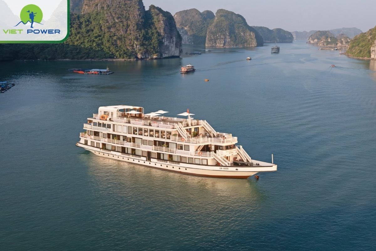 Arcady Premium Cruise