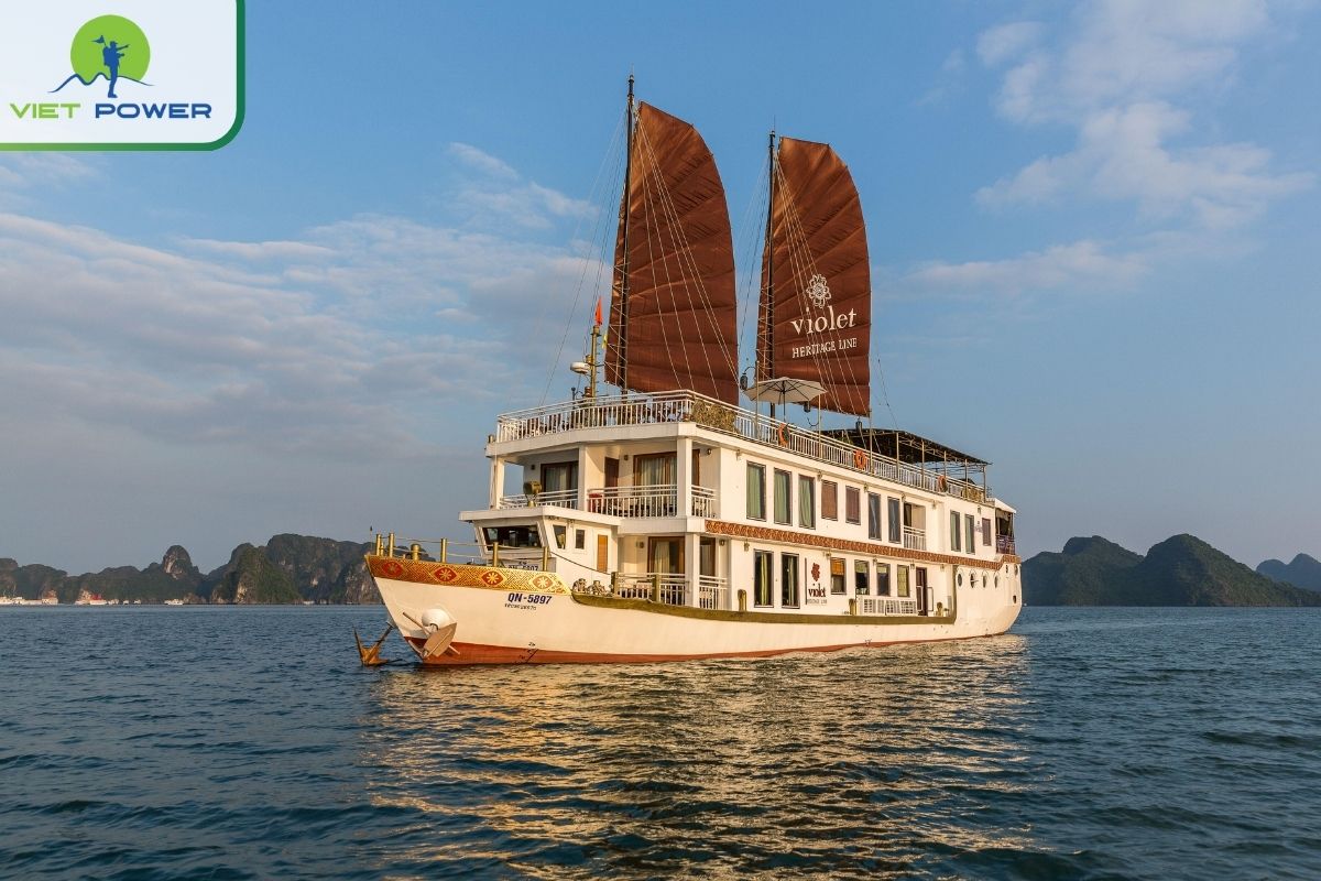 Heritage Line Violet