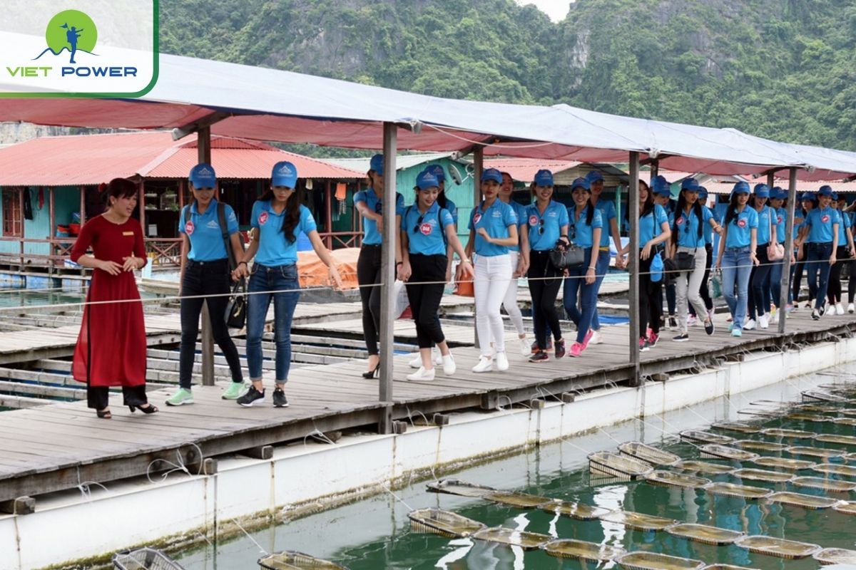 Visit the Pearl Farm Village