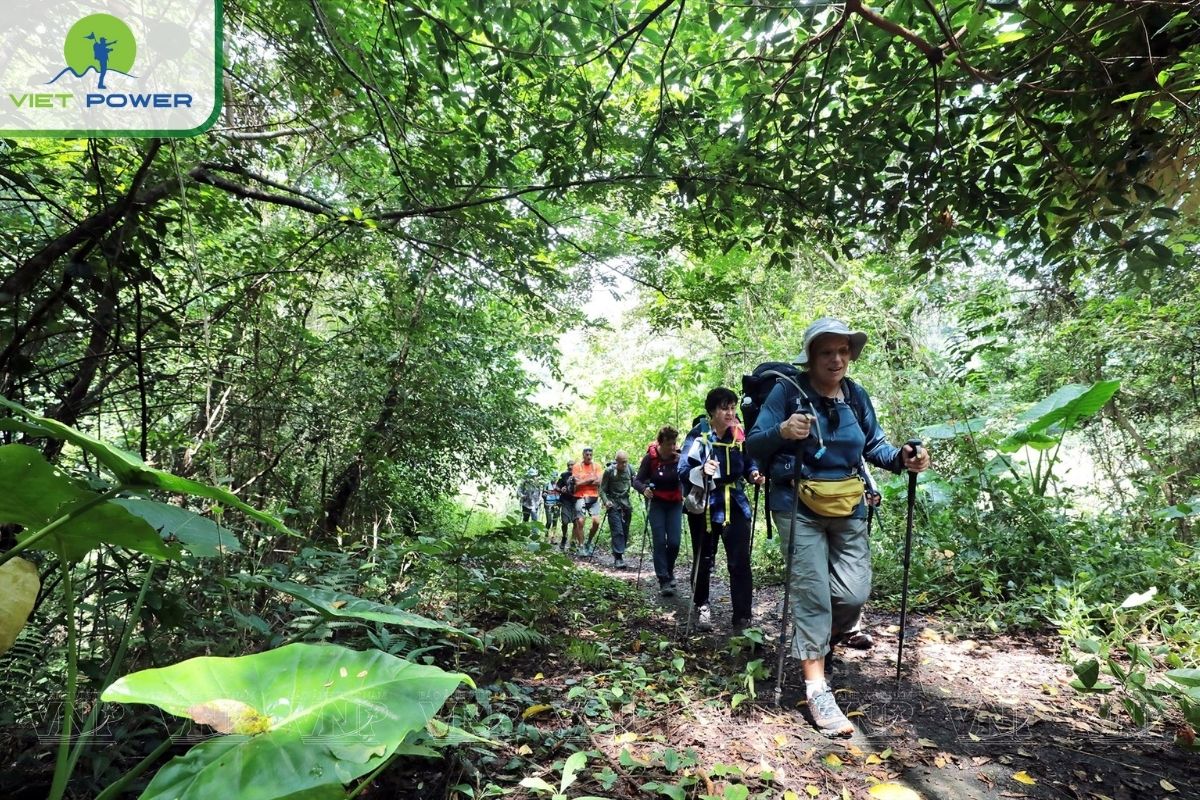 Hiking Trails Through the Rainforests of Cat Ba National Park