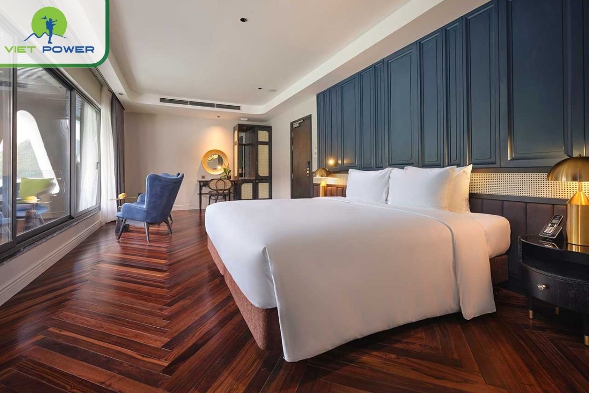 Junior Premium Suite