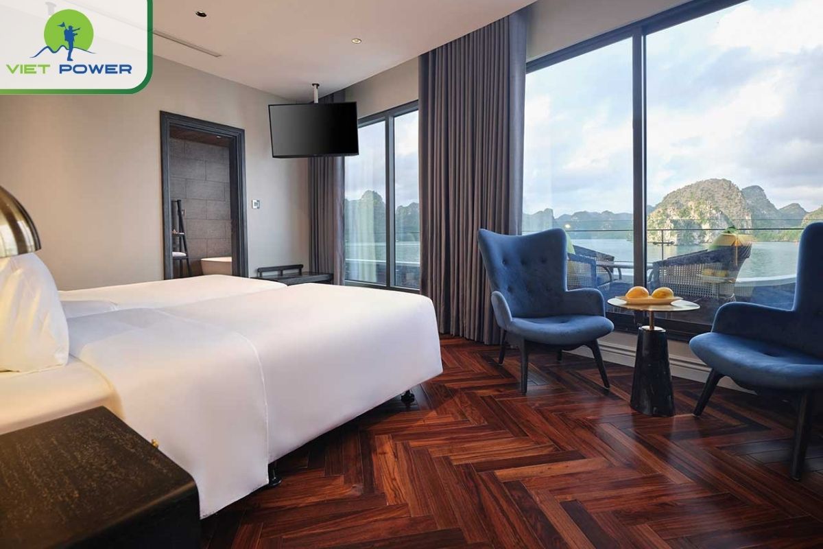 Senior Premium Suite