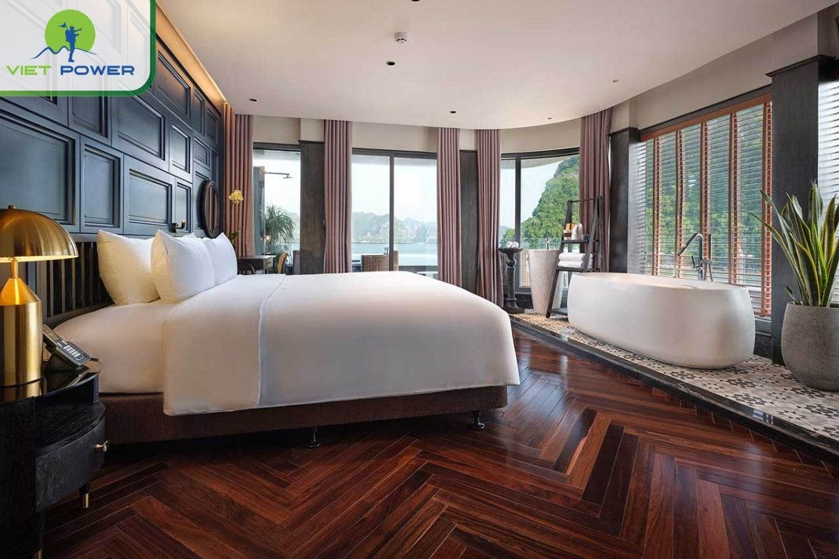 Executive Premium Suite