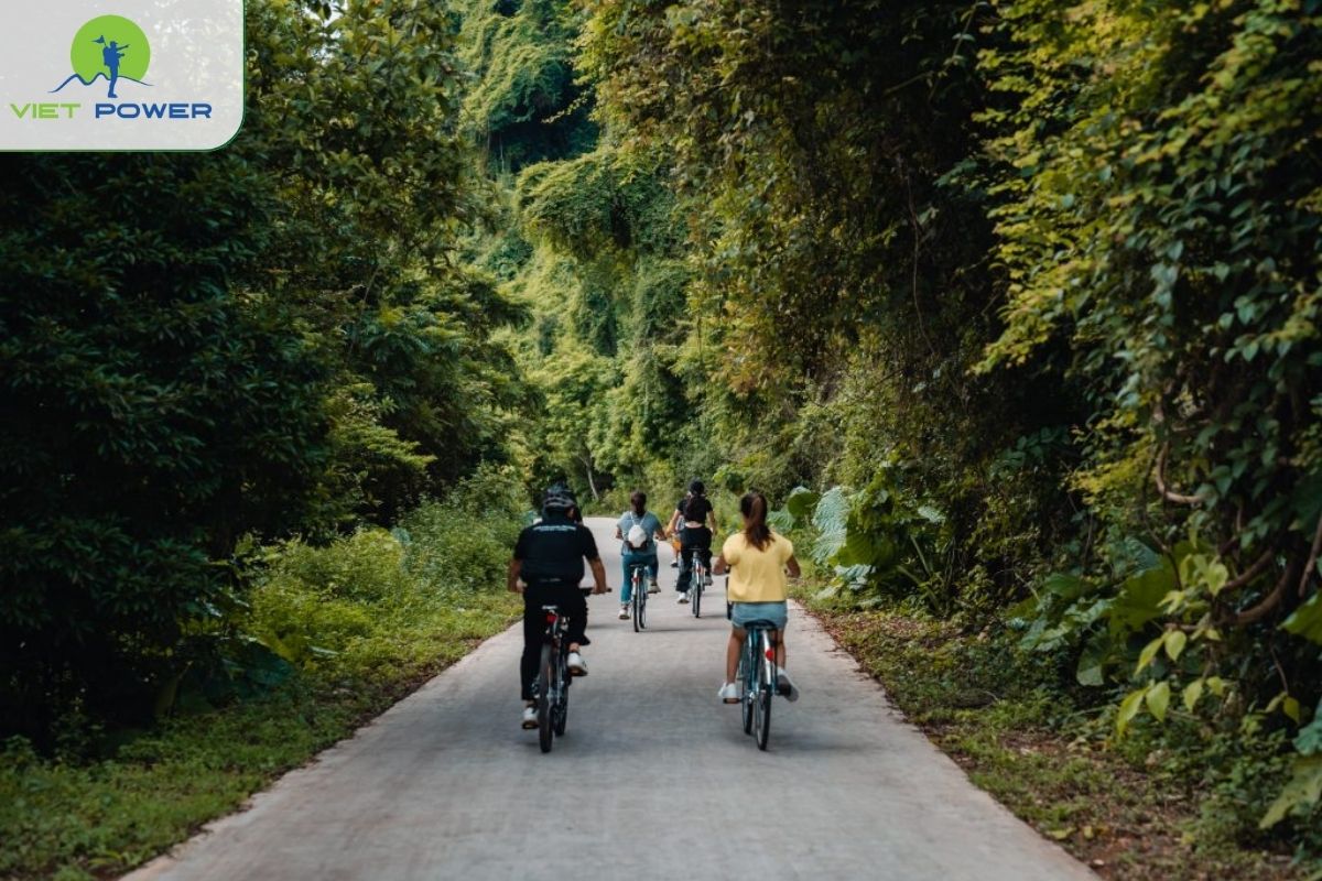 Cycling excursion to Viet Hai Village through forested paths
