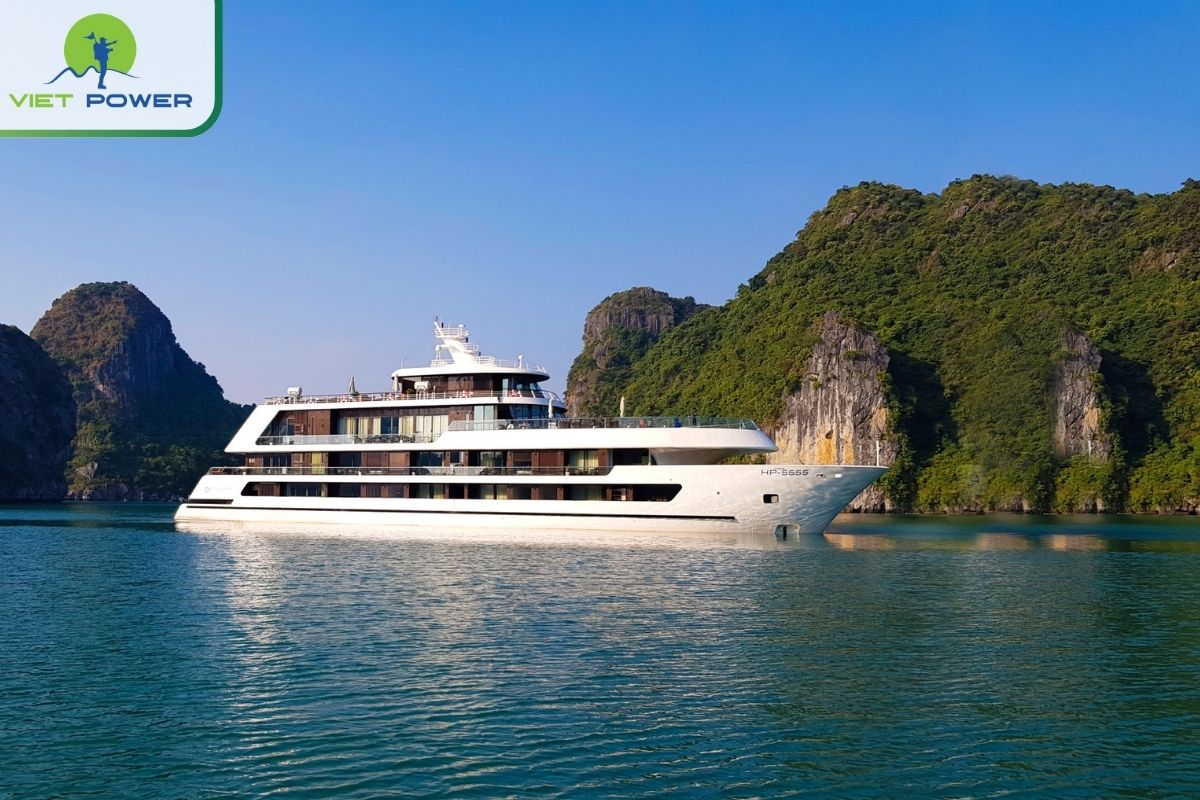 Stellar of the Seas Cruise 