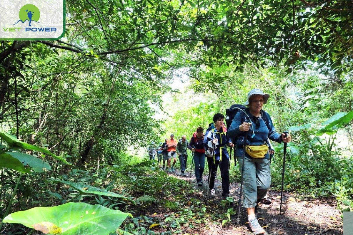 Hike through Cat Ba National Park
