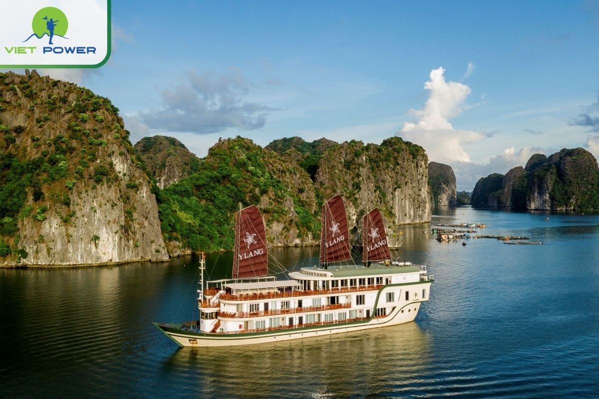 Heritage Line Ylang Cruise