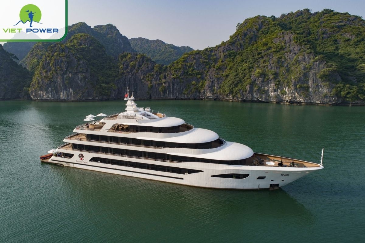 Scarlet Pearl Cruise