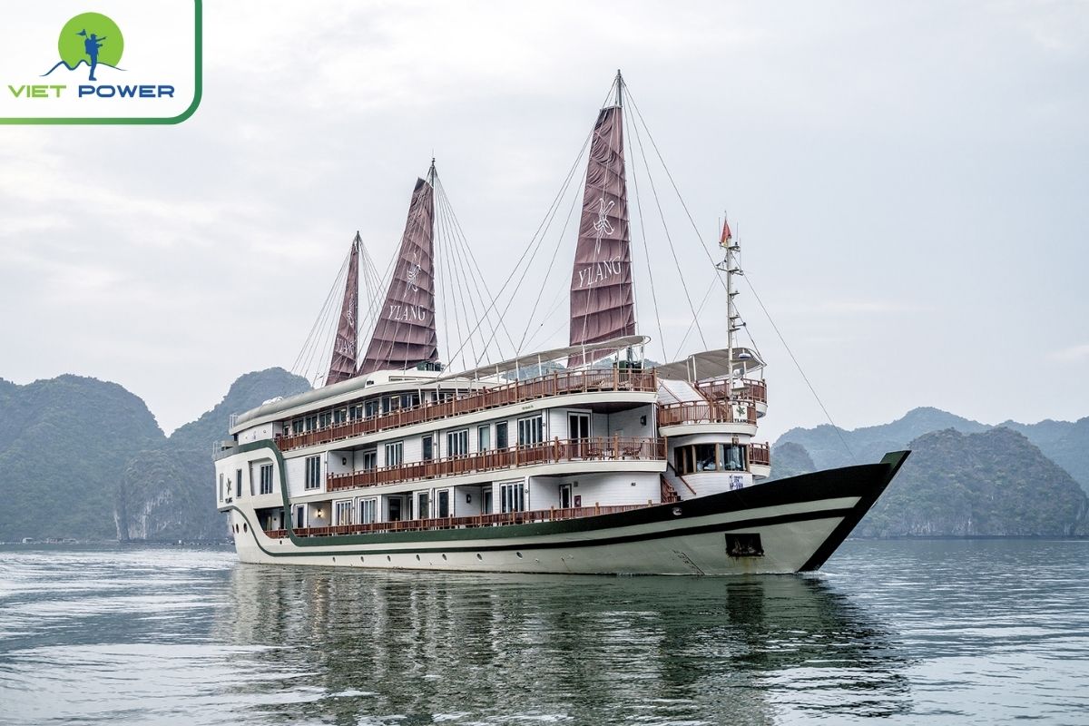 Heritage Line Ylang Cruise