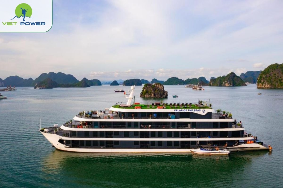 Velar of The Sea Cruise