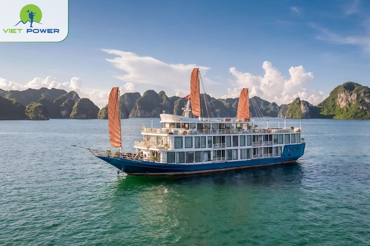 Verdure Lotus Classic