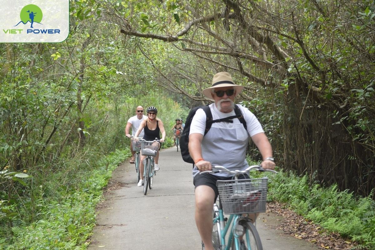 Cycling along the beautiful forest road in Viet Hai Village