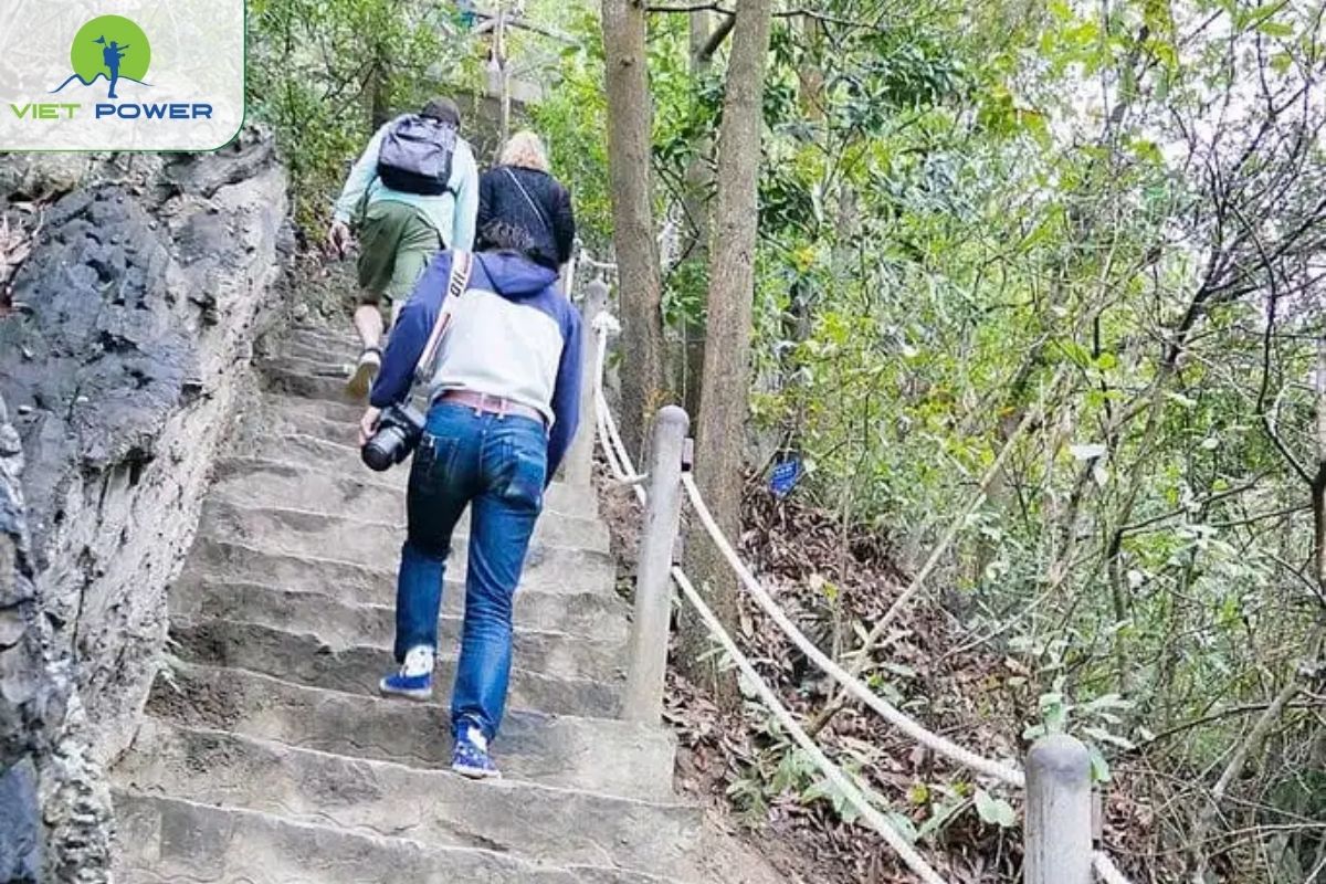 Climb to the top of Ti Top island to see the whole view of Ha Long Bay