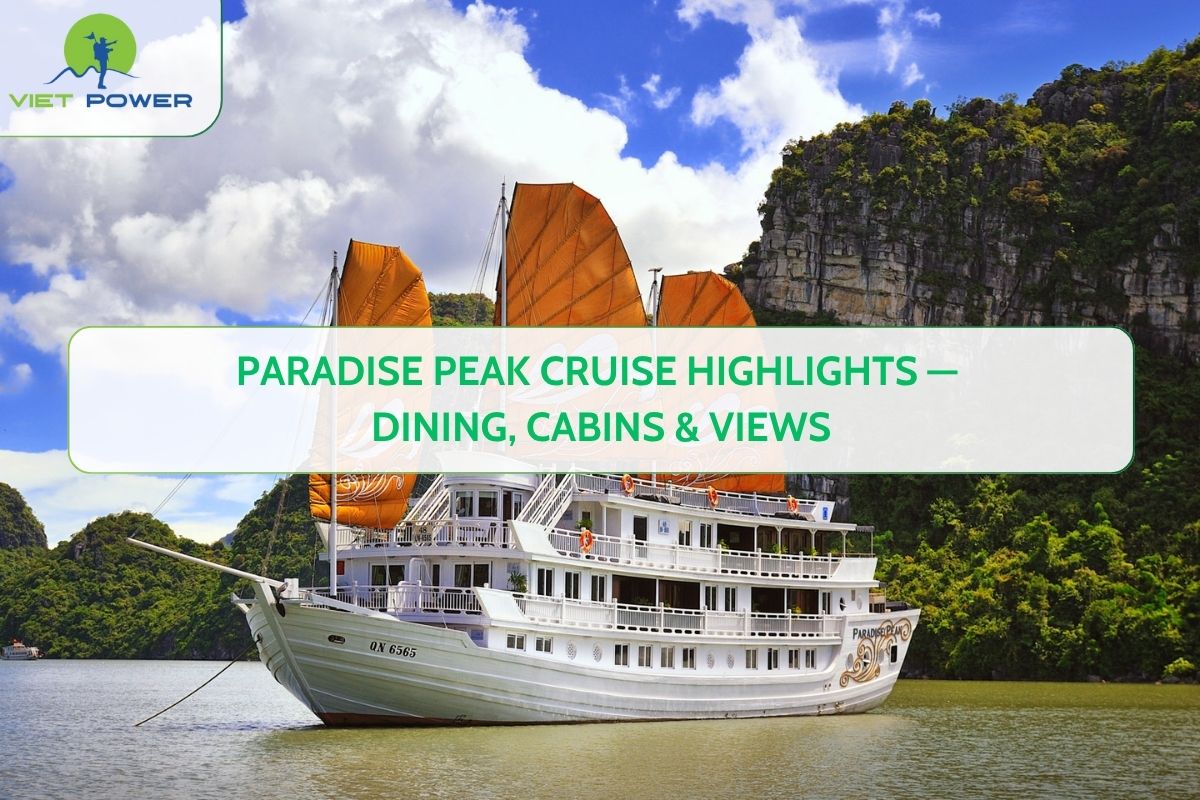 Paradise Peak Cruise Highlights — Dining, Cabins & Views
