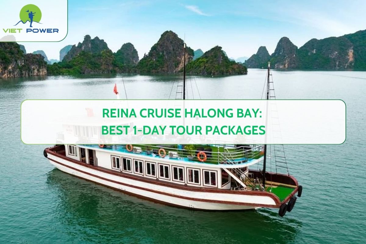 Reina Cruise Halong Bay: Best 1-Day Tour Packages