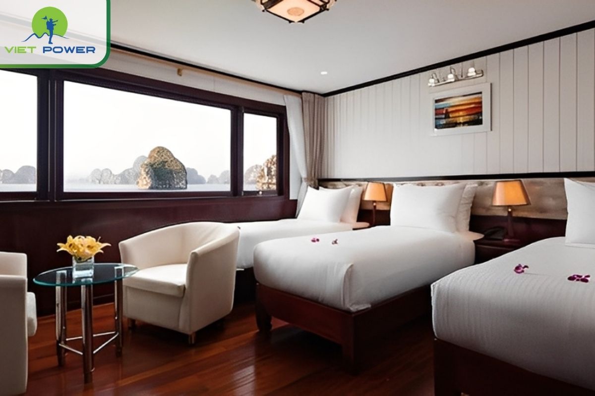 Premium Triple Cabin