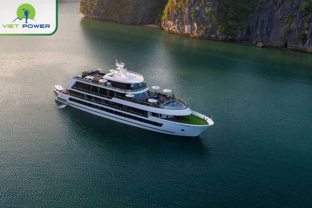 Stella of the Sea Cruise