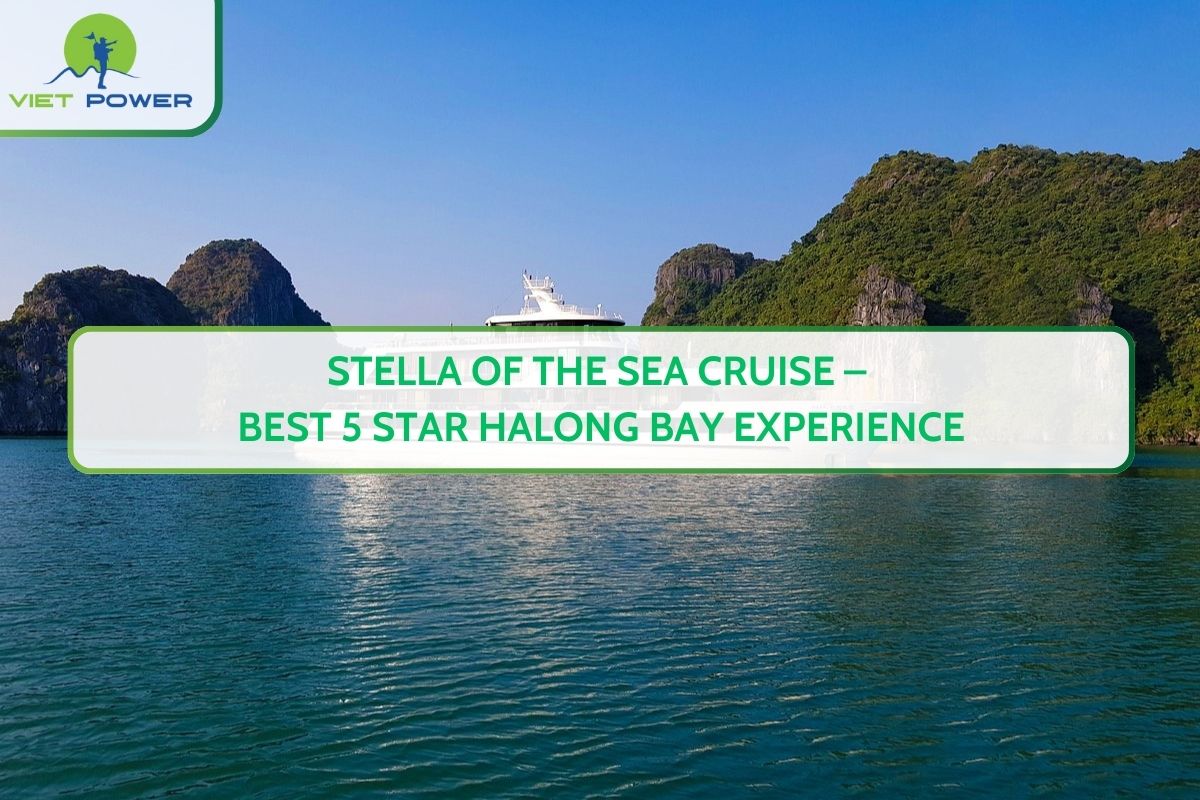 Stella of the Sea Cruise – Best 5 Star Halong Bay Experience
