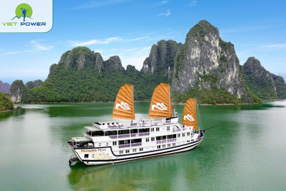 Paradise Peak Cruise 